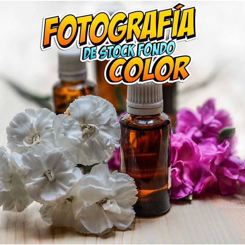 IMAGEN FOTOGRAFIA STOCK F COLOR 01